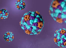 HEP A test exercise