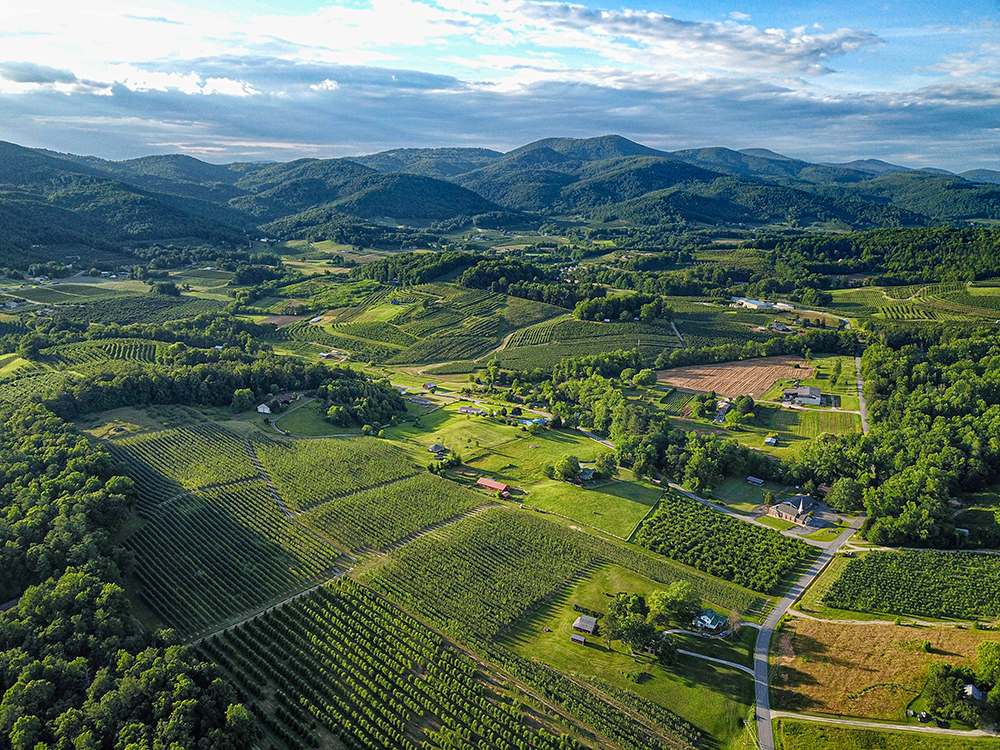 Aerial view of farmland in Henderson County