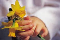 Child holding flowers