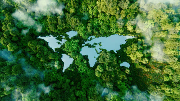 Picture of the Continents within a field of trees