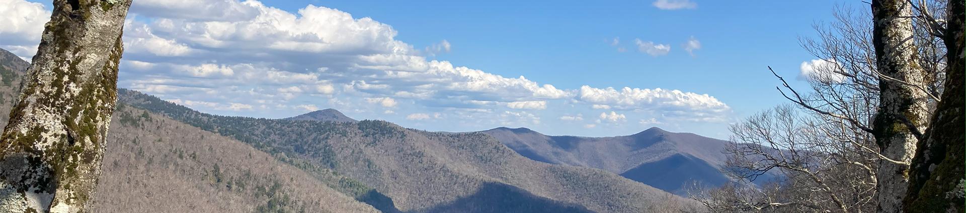 mountain scene