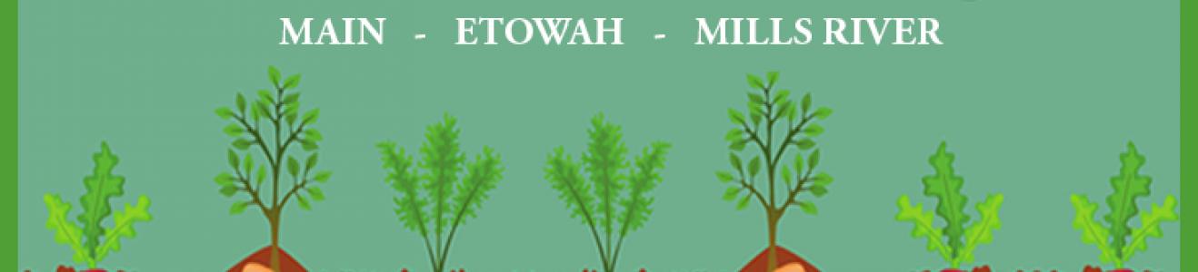 Seed Libraries
