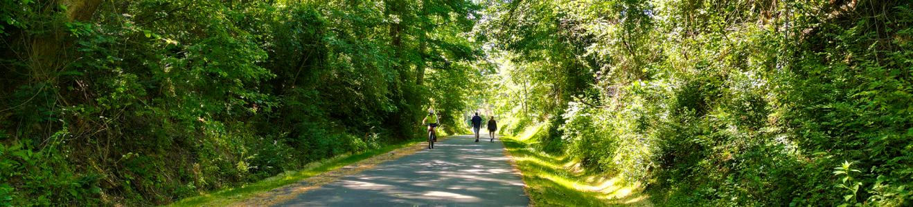 Ecusta Trail with biker and pedestrians