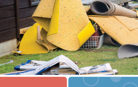 Picture of storm debris with words: mold cleanup