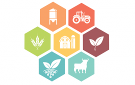 LDC Farming Icons
