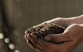 Man holding soil