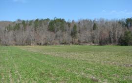 Soil Health Field Day