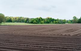 Field Photo by Kai Oberhäuser on Unsplash