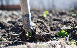 Shovel in soil