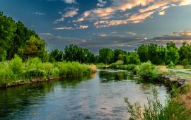 Wetlands Photo by Brandon Montrone from Pexels