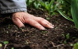 Hand touching soil