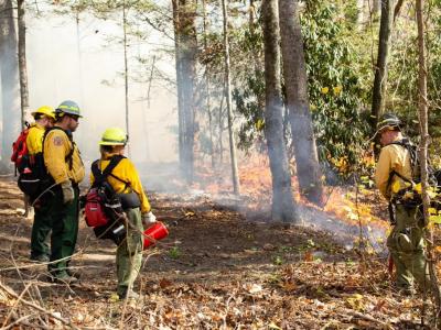 Wildfire Safety Wildfire Safety