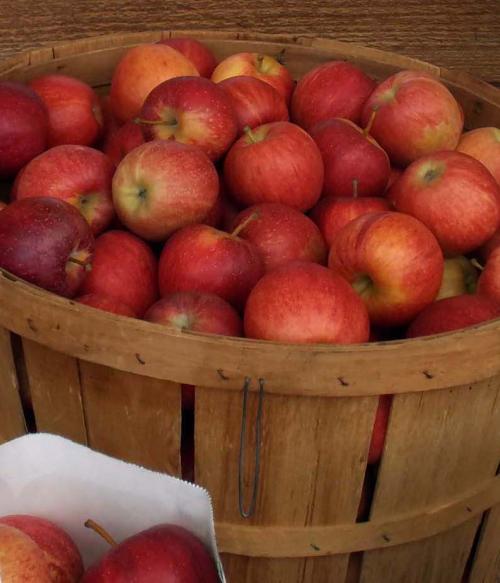 Henderson County Apple Festival