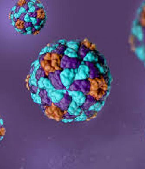 HEP A test exercise