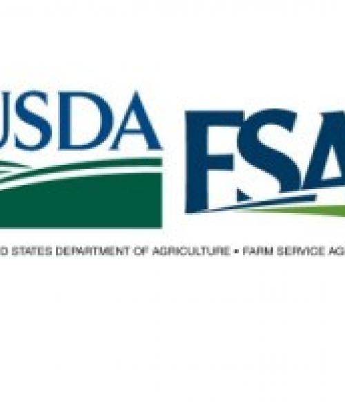 FSA Logo