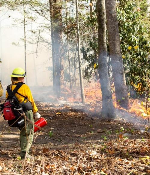 Wildfire Safety