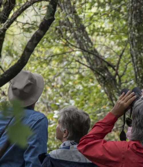 Greenway Master Plan FAQs