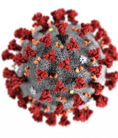 Coronavirus Image 