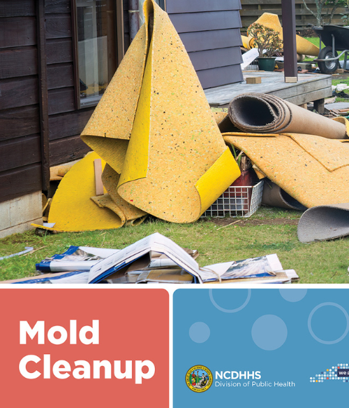 Picture of storm debris with words: mold cleanup
