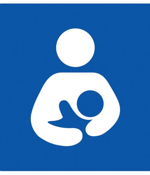 Breastfeeding Support