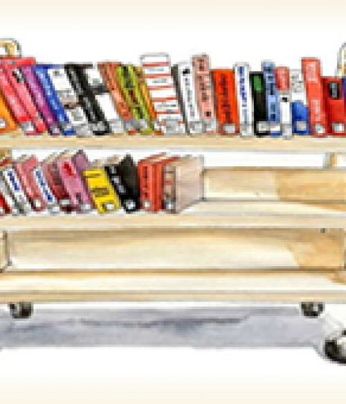 Books organized on bookcart