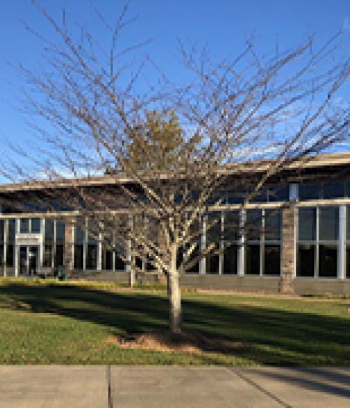 Etowah Library