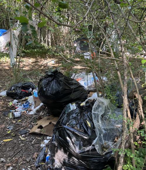 Homeless Camp
