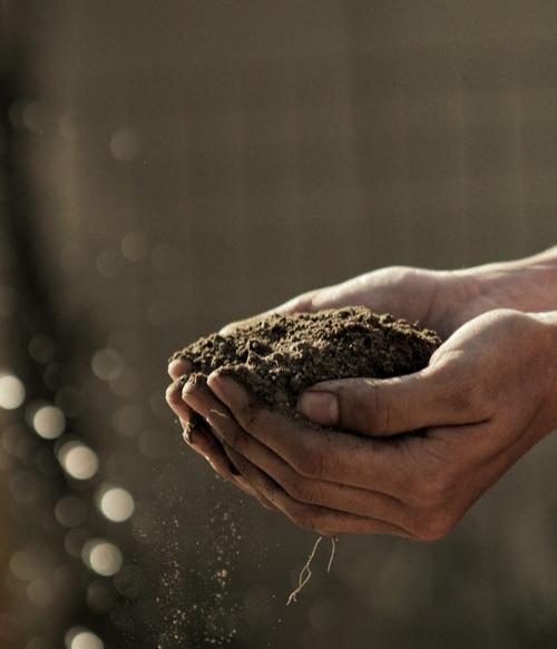 Man holding soil