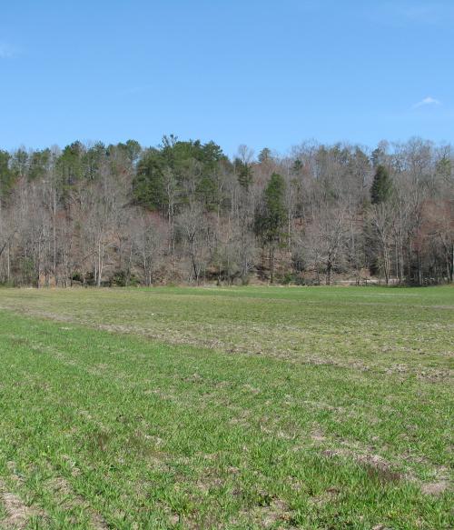 Soil Health Field Day