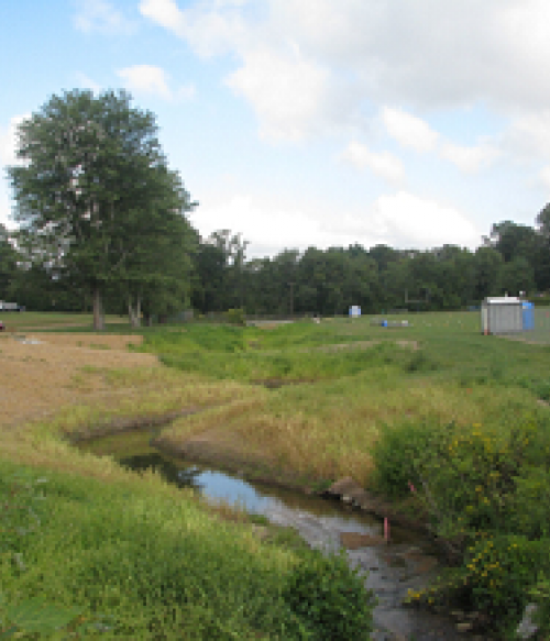 After Restoration of Mill Pond Creek
