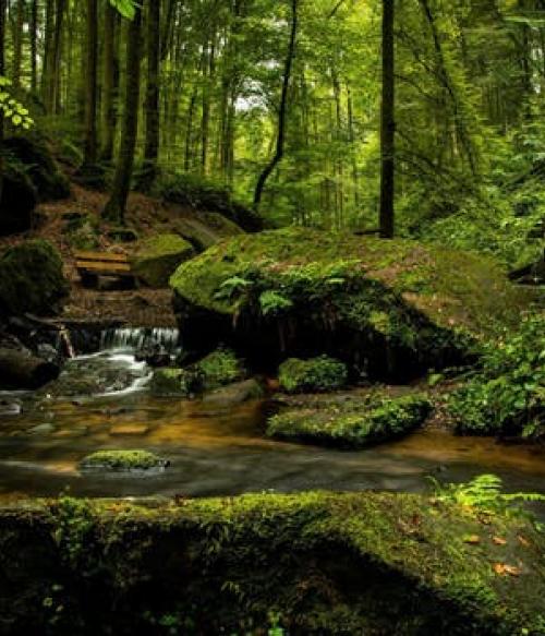 Mountain stream