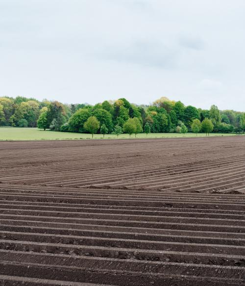 Field Photo by Kai Oberhäuser on Unsplash