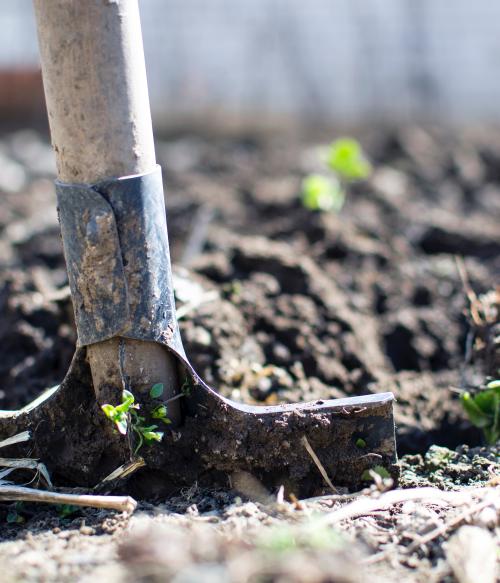 Shovel in soil