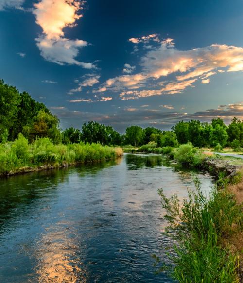 Wetlands Photo by Brandon Montrone from Pexels