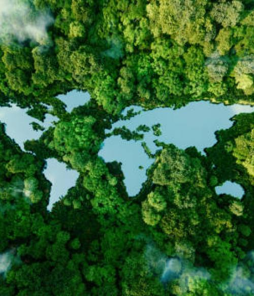 Picture of the Continents within a field of trees