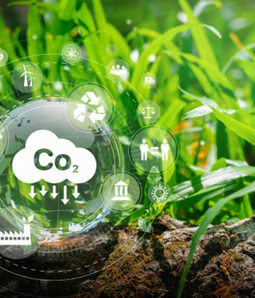 Picture of Soil and the Carbon Cycle