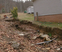 Eroded Streambank