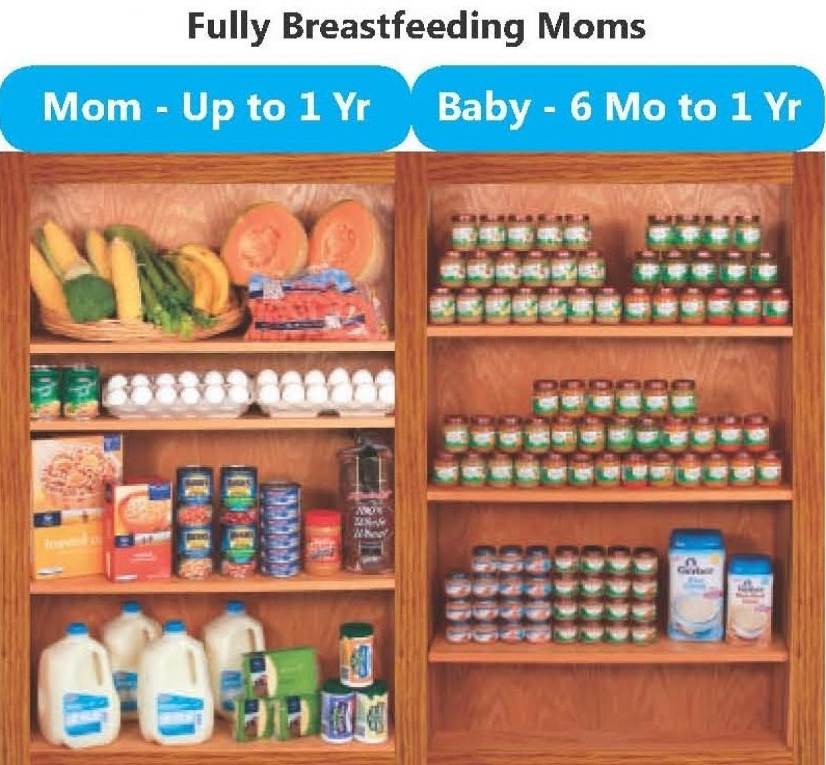 Wic Food Packages 2025 Gwen Shellie
