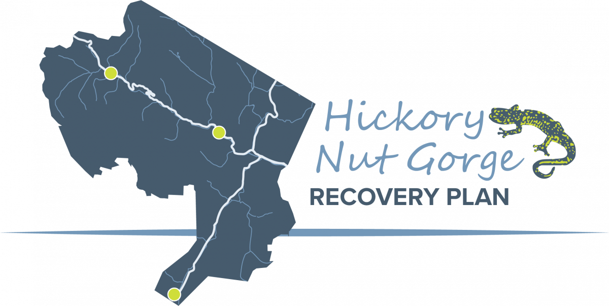 Hickory Nut Gorge Recovery Plan